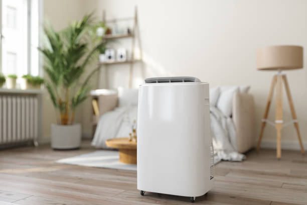 Best Ductless Mini-Split Systems in Lecanto, FL
